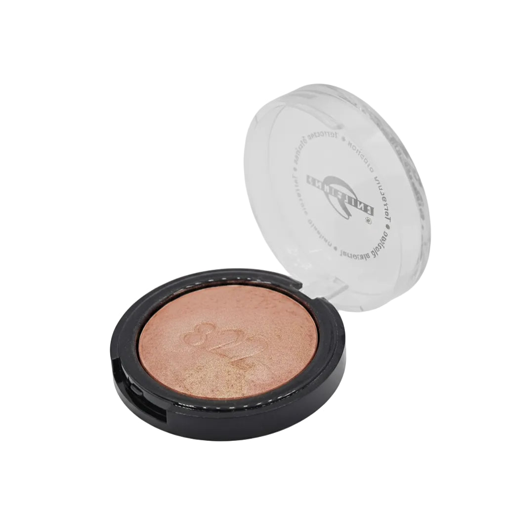 CHRISTINE TERRA BLUSH ON 822