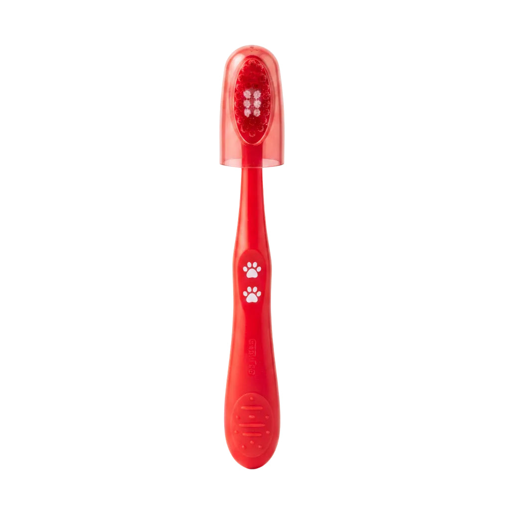 K SHORE CLEAN TOOTH BRUSH V15